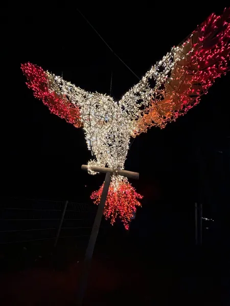 LUMAGICA 2025 im Wildpark Schwarze Berge