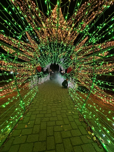 LUMAGICA 2025 im Wildpark Schwarze Berge