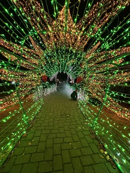 LUMAGICA 2025 im Wildpark Schwarze Berge