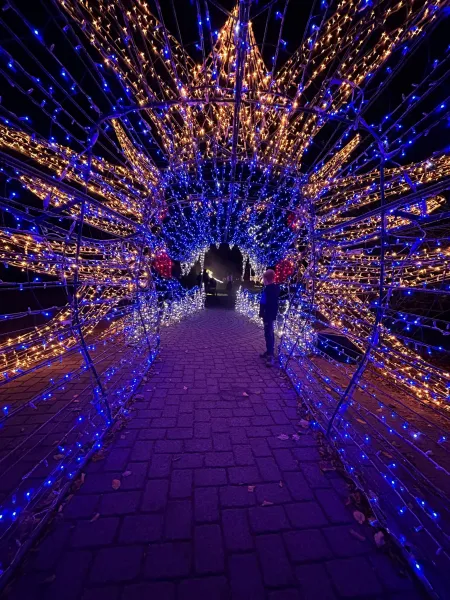 LUMAGICA 2025 im Wildpark Schwarze Berge