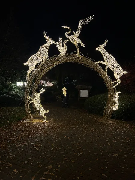 LUMAGICA 2025 im Wildpark Schwarze Berge