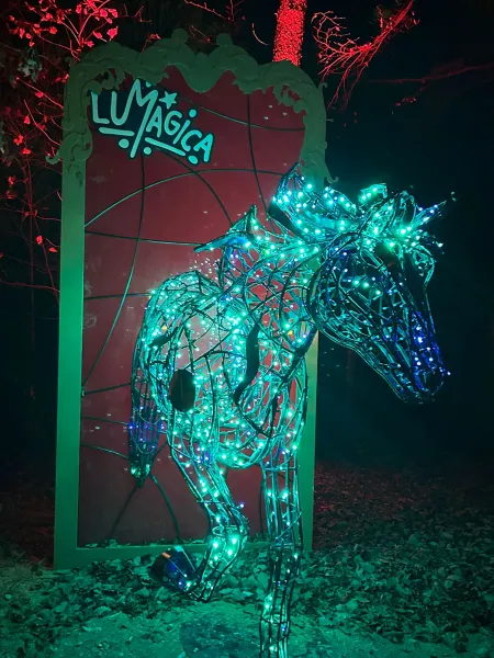 LUMAGICA 2025 im Wildpark Schwarze Berge