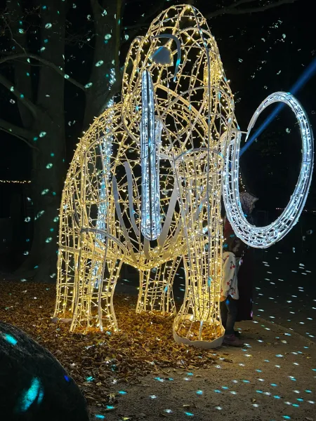 LUMAGICA 2025 im Wildpark Schwarze Berge