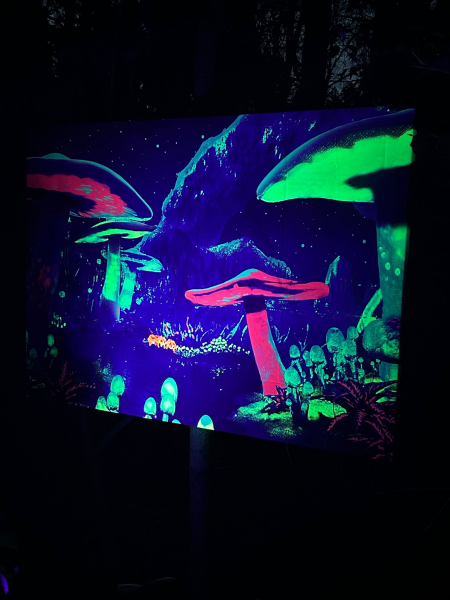 LUMAGICA 2025 im Wildpark Schwarze Berge