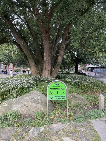 Max-Schmeling-Park