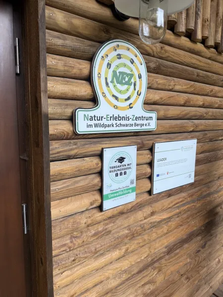 Pilzkunde im Wildpark Schwarze Berge – Entdecke die Welt der Pilze