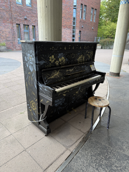 Musikalische Kunst im Herzen von Harburg