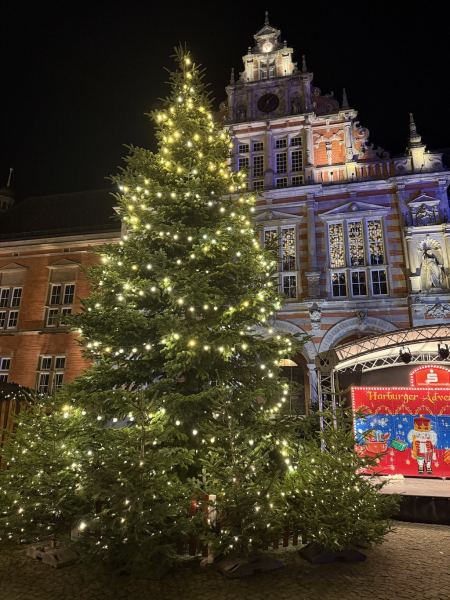 Weihnachtsmarkt Hamburg-Harburg