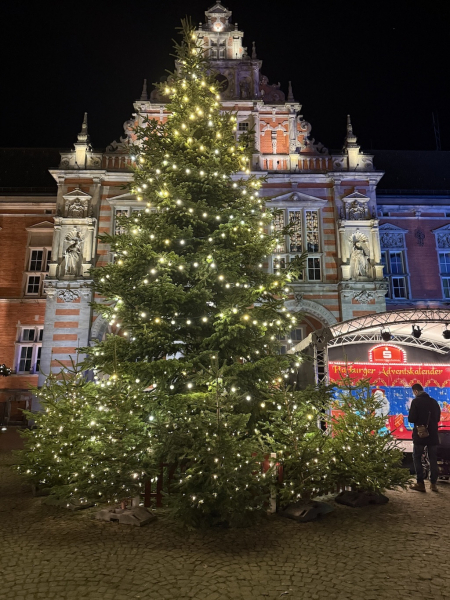 Weihnachtsmarkt Hamburg-Harburg