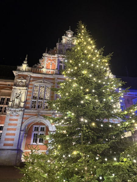 Weihnachtsmarkt Hamburg-Harburg