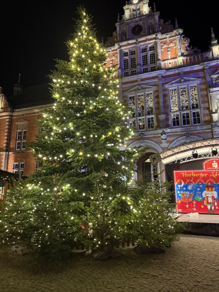 Weihnachtsmarkt Hamburg-Harburg